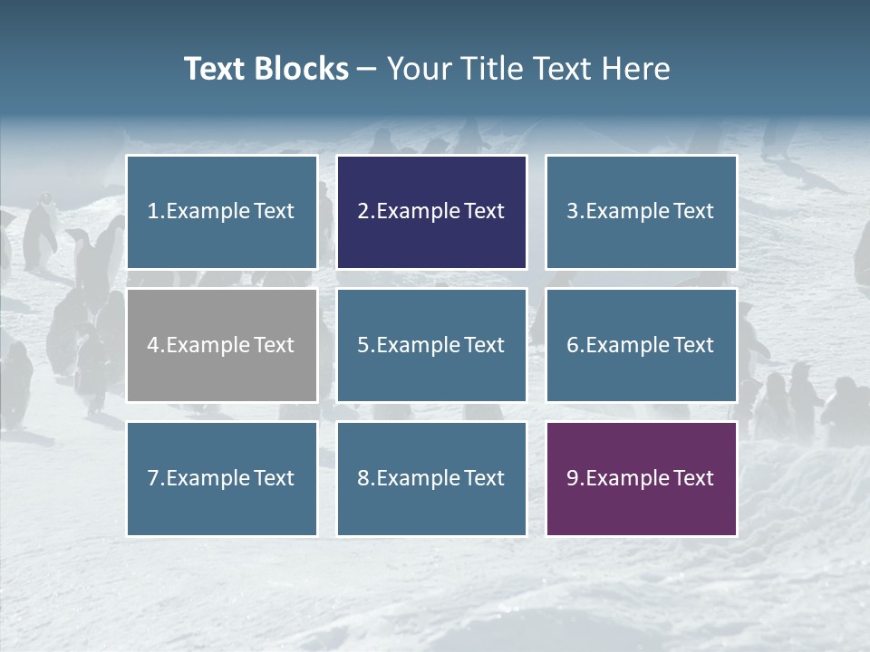 Run Change Ecotourism PowerPoint Template