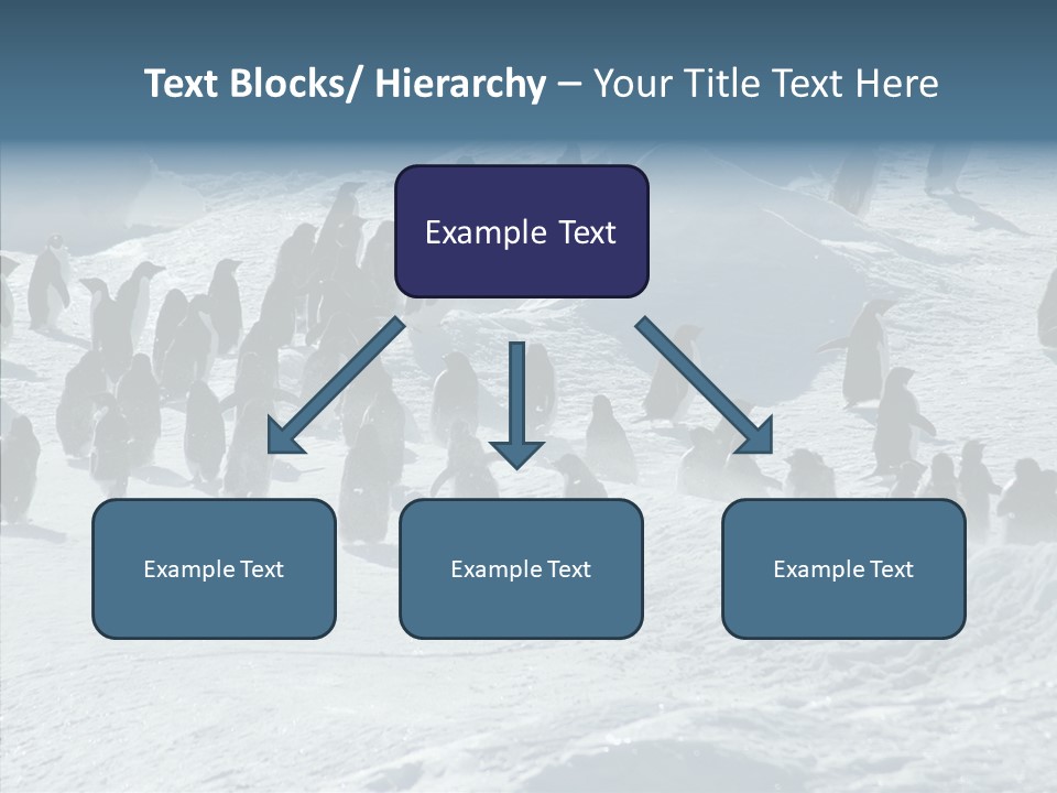 Run Change Ecotourism PowerPoint Template