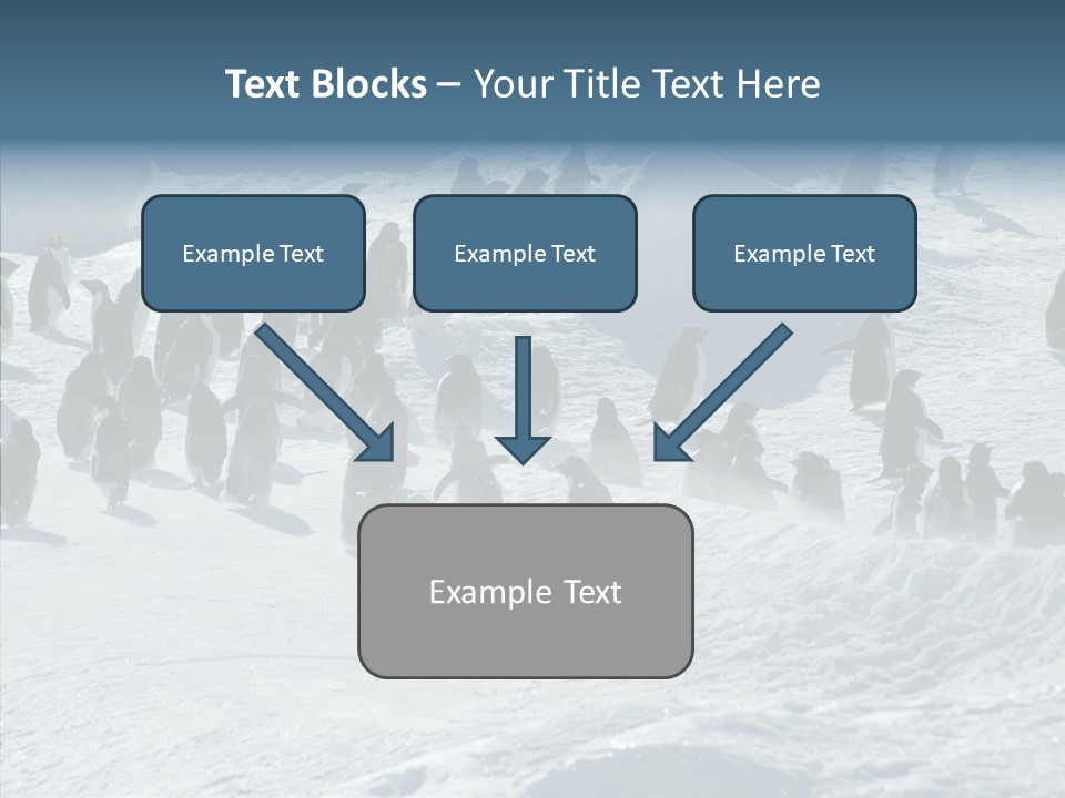 Run Change Ecotourism PowerPoint Template