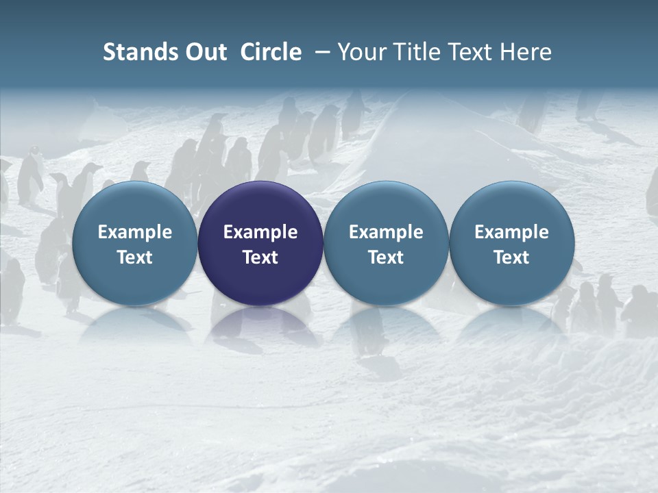 Run Change Ecotourism PowerPoint Template