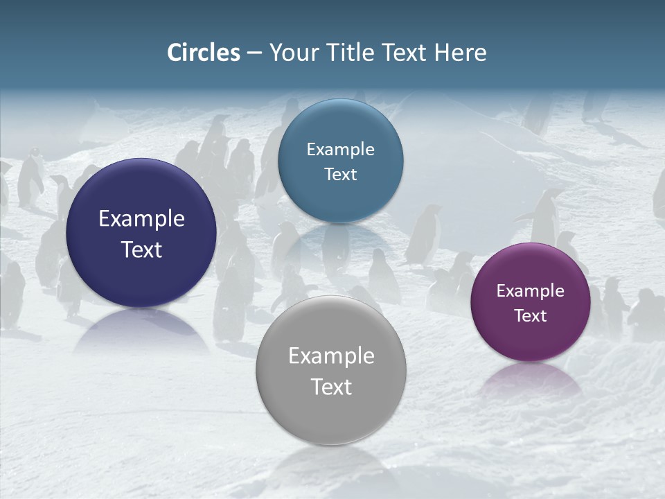 Run Change Ecotourism PowerPoint Template