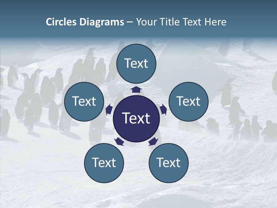 Run Change Ecotourism PowerPoint Template