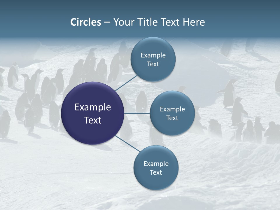 Run Change Ecotourism PowerPoint Template