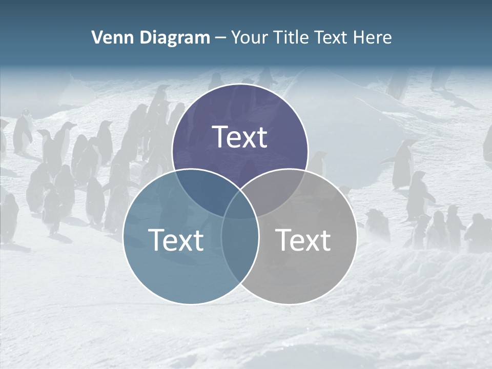 Run Change Ecotourism PowerPoint Template