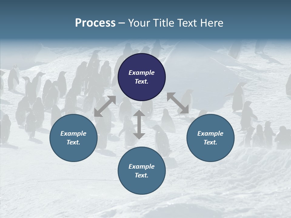 Run Change Ecotourism PowerPoint Template