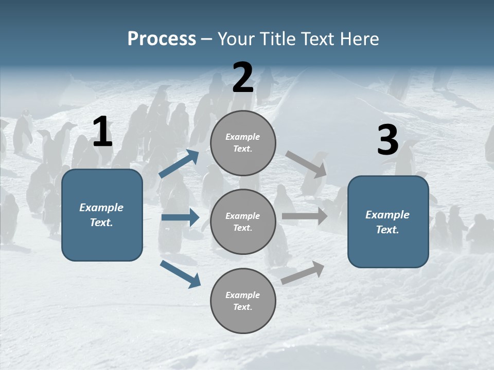 Run Change Ecotourism PowerPoint Template