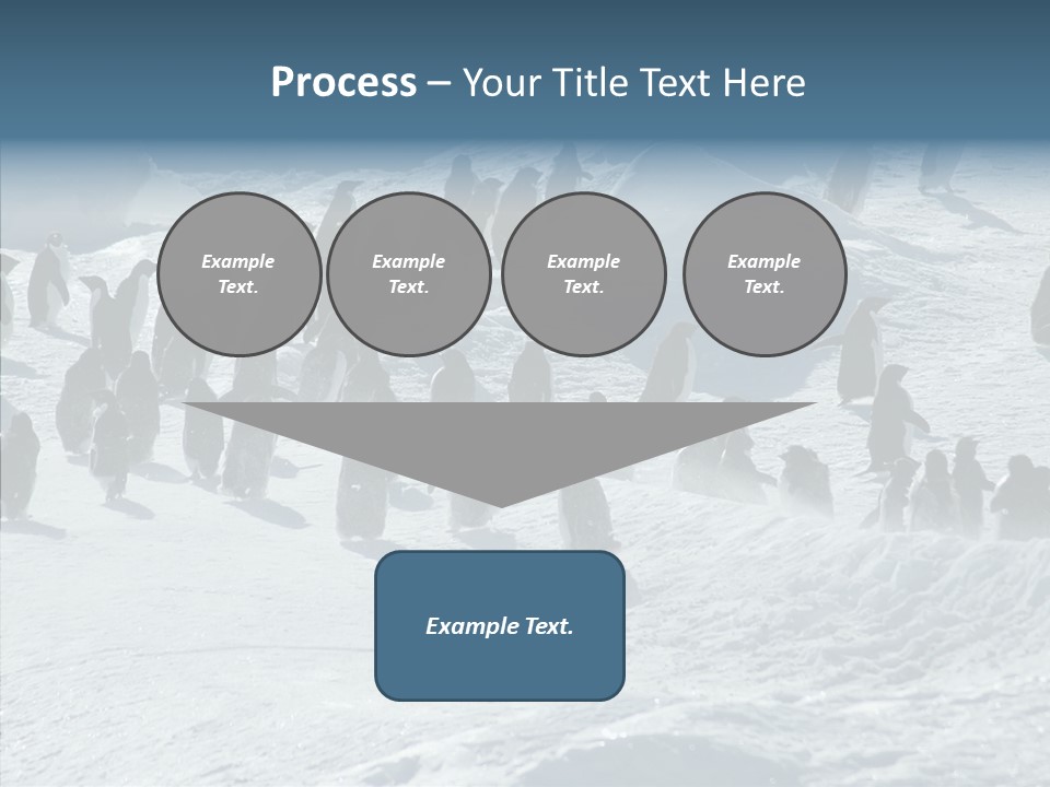 Run Change Ecotourism PowerPoint Template