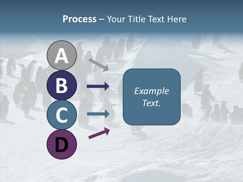 Run Change Ecotourism PowerPoint Template