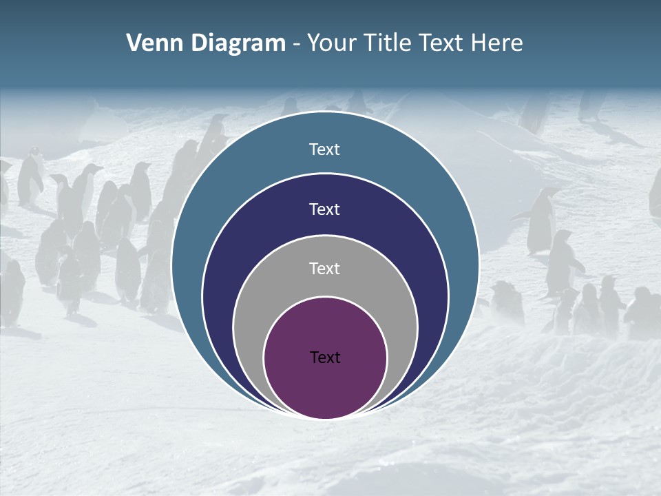 Run Change Ecotourism PowerPoint Template