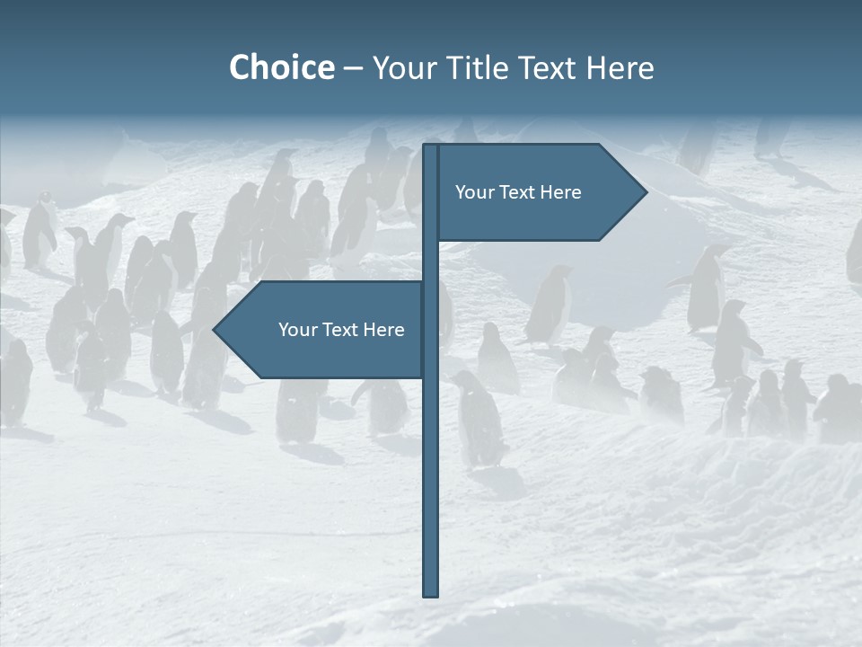 Run Change Ecotourism PowerPoint Template