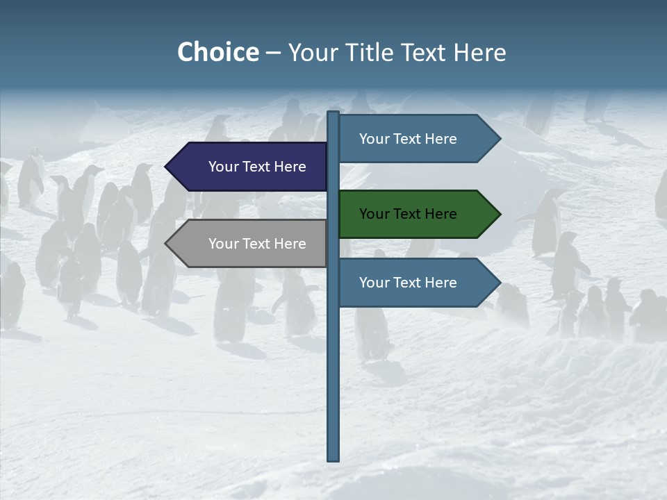 Run Change Ecotourism PowerPoint Template