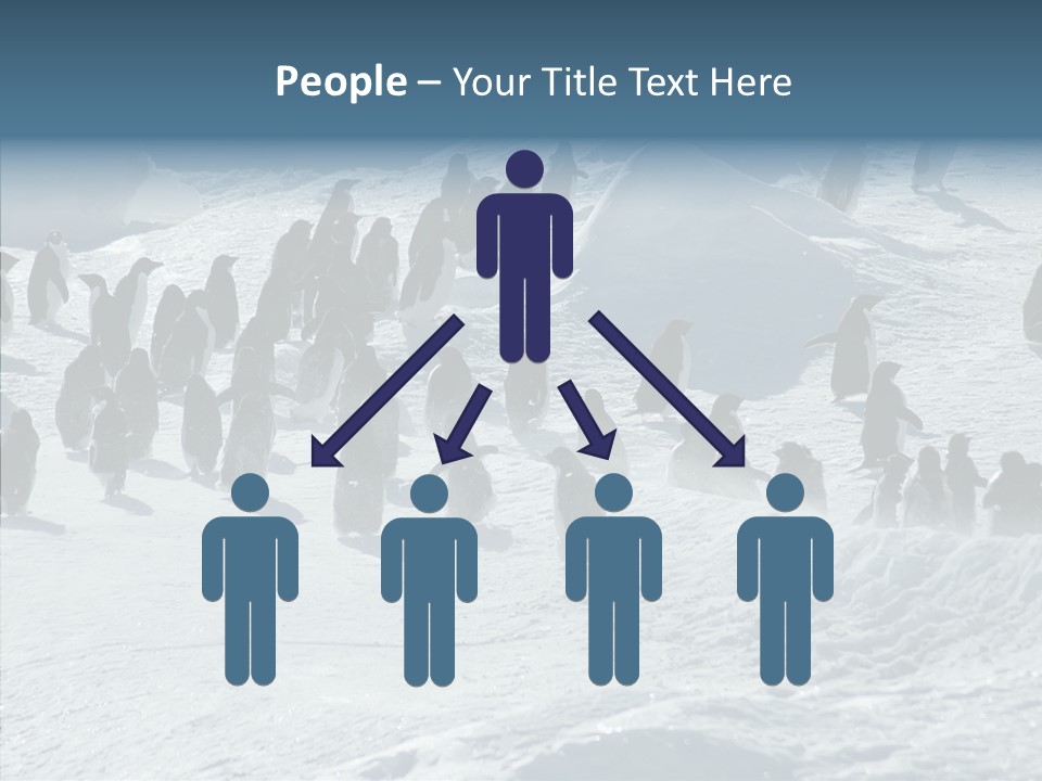 Run Change Ecotourism PowerPoint Template