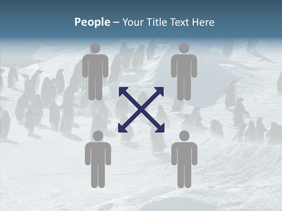 Run Change Ecotourism PowerPoint Template