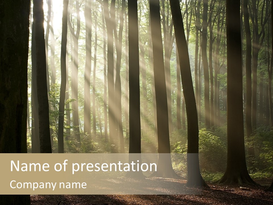 Foggy Foliage Branch PowerPoint Template