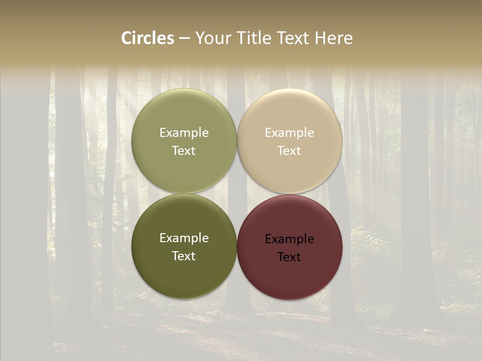 Foggy Foliage Branch PowerPoint Template