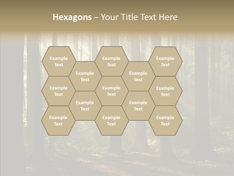 Foggy Foliage Branch PowerPoint Template