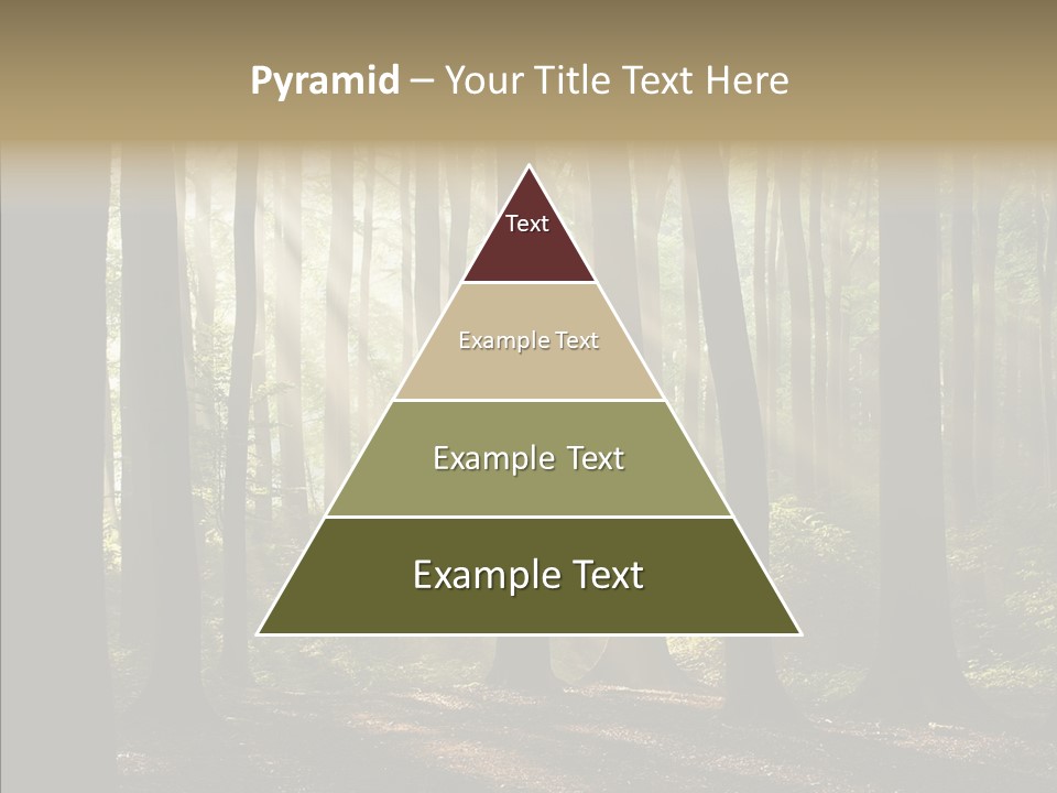 Foggy Foliage Branch PowerPoint Template