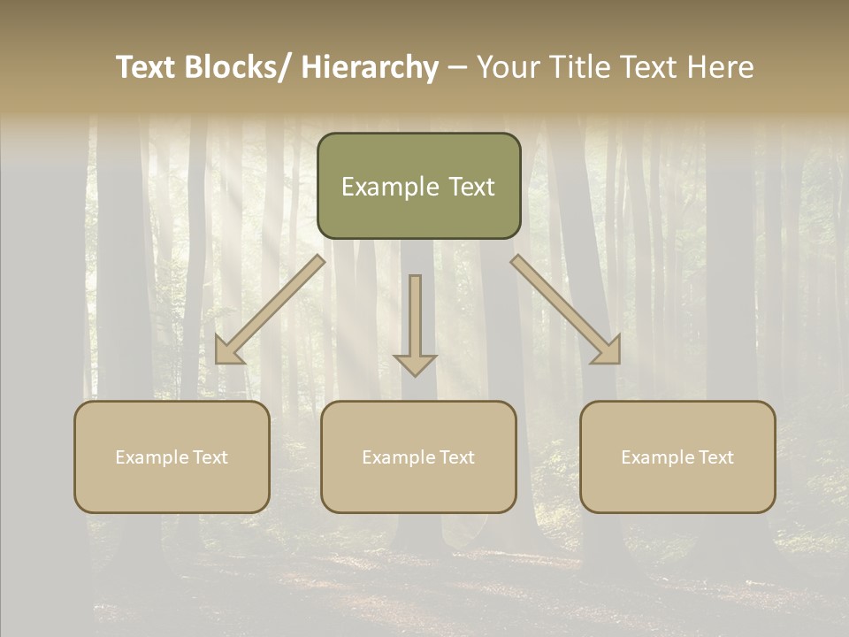 Foggy Foliage Branch PowerPoint Template