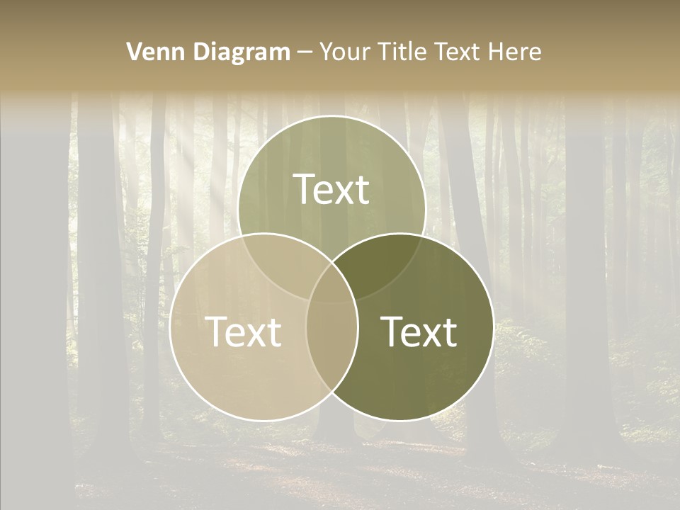 Foggy Foliage Branch PowerPoint Template