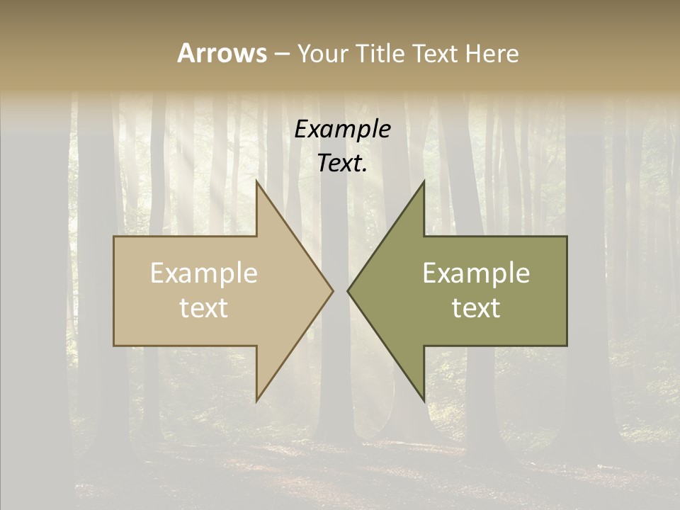 Foggy Foliage Branch PowerPoint Template