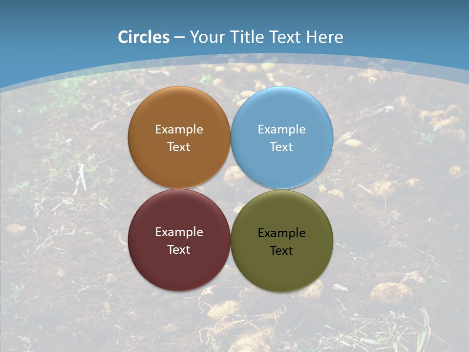 Dish Environmental Fallow PowerPoint Template