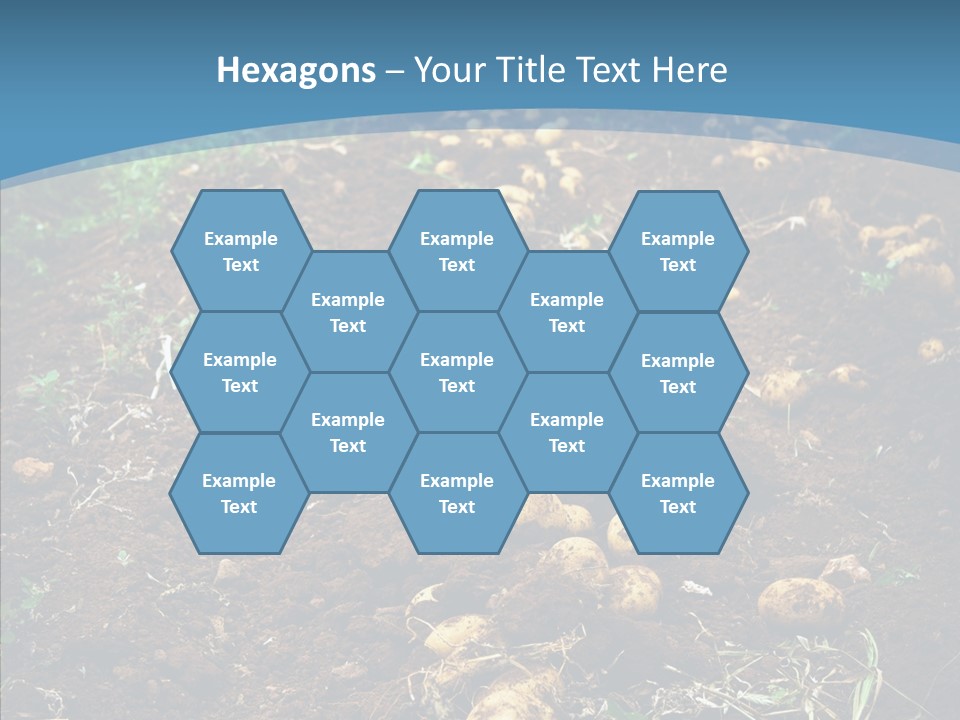 Dish Environmental Fallow PowerPoint Template