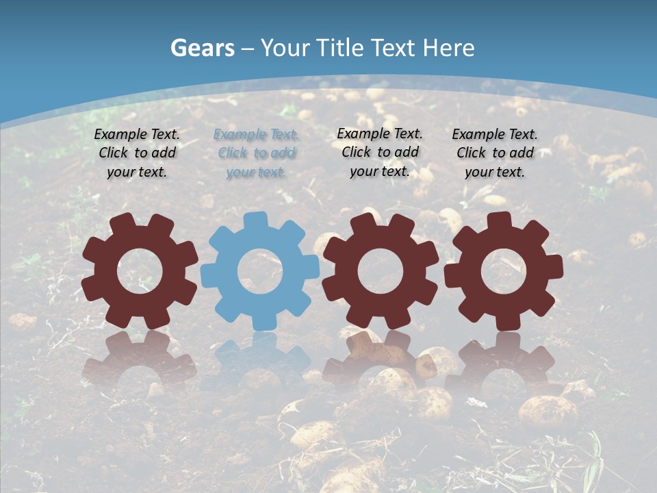 Dish Environmental Fallow PowerPoint Template