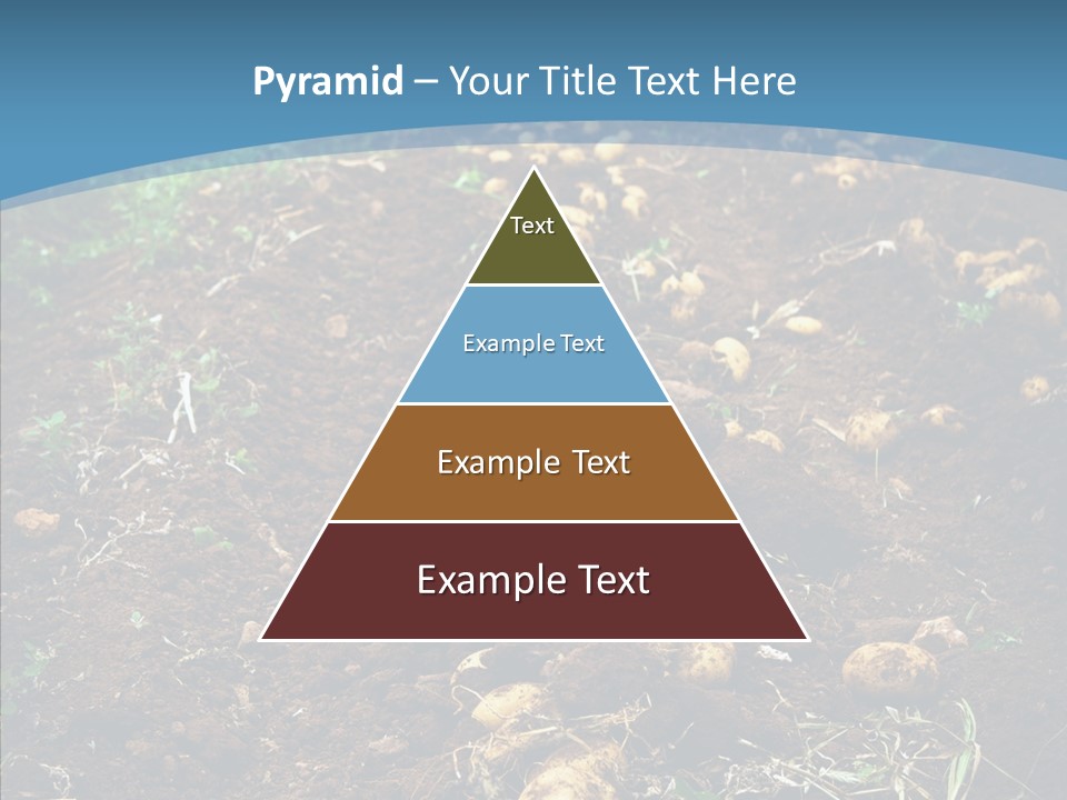 Dish Environmental Fallow PowerPoint Template