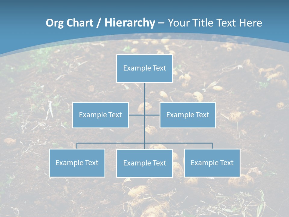 Dish Environmental Fallow PowerPoint Template