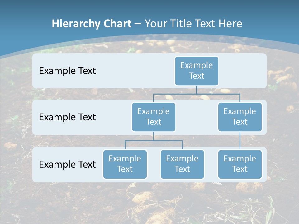Dish Environmental Fallow PowerPoint Template