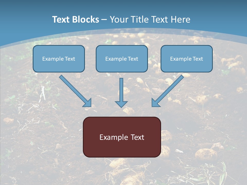 Dish Environmental Fallow PowerPoint Template