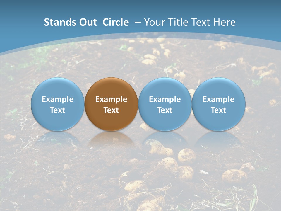 Dish Environmental Fallow PowerPoint Template