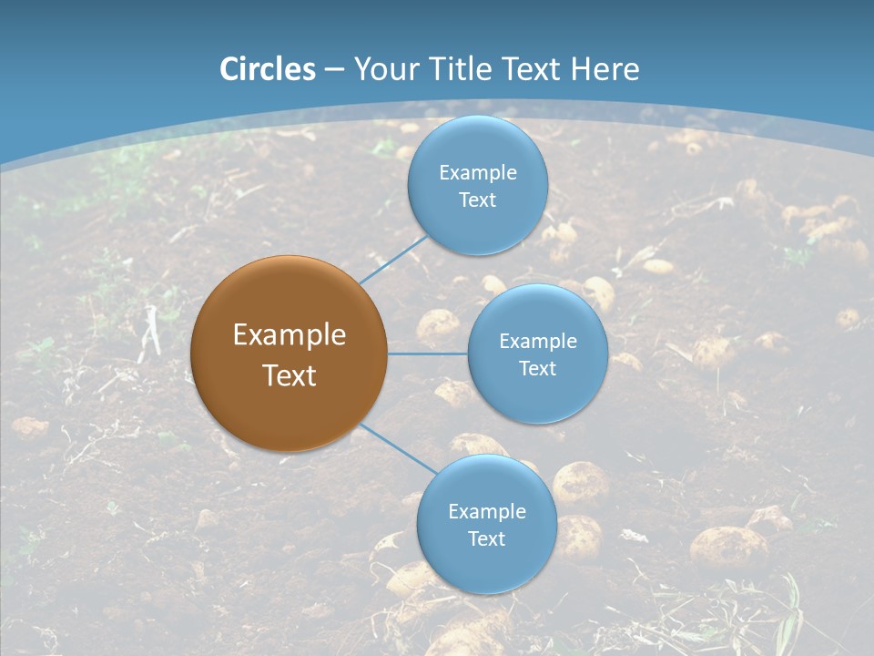 Dish Environmental Fallow PowerPoint Template
