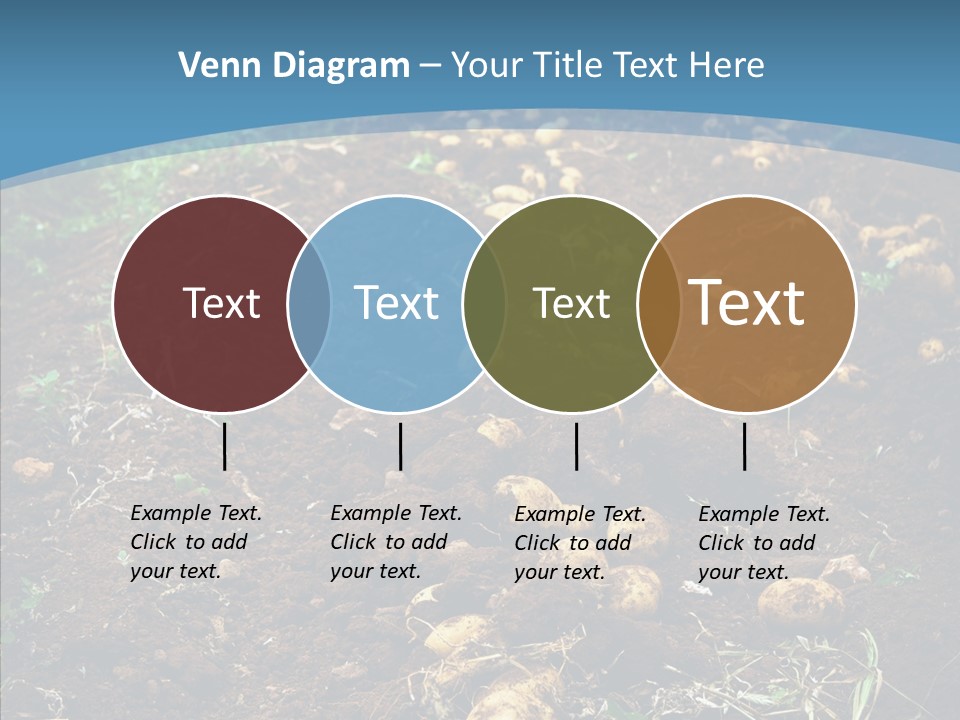 Dish Environmental Fallow PowerPoint Template