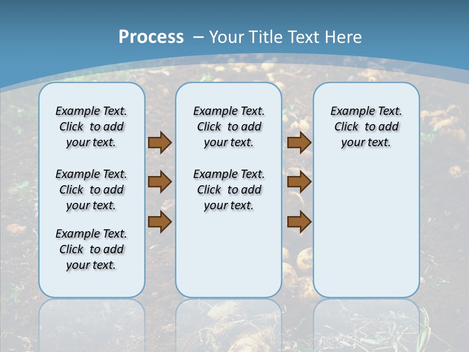 Dish Environmental Fallow PowerPoint Template