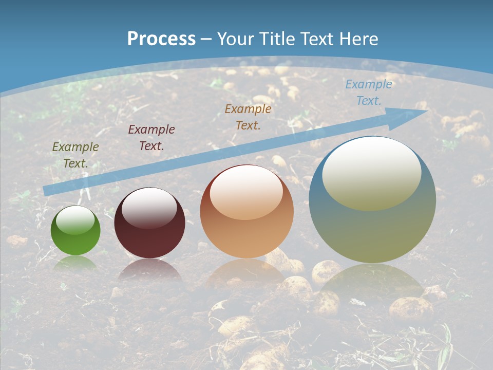 Dish Environmental Fallow PowerPoint Template