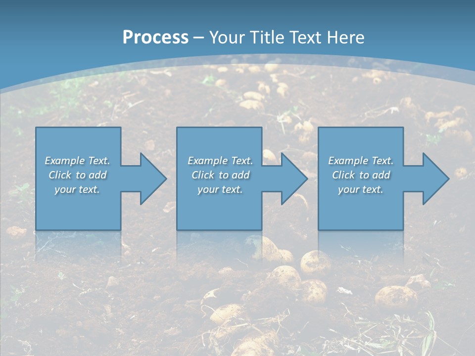 Dish Environmental Fallow PowerPoint Template