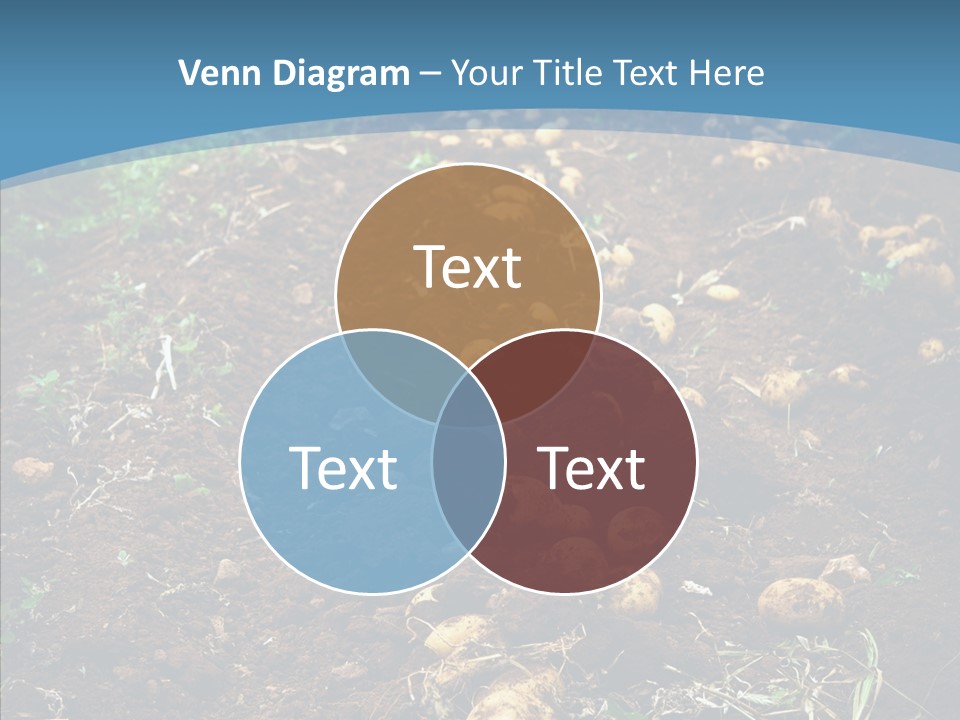 Dish Environmental Fallow PowerPoint Template
