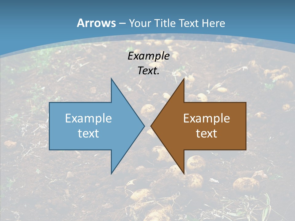 Dish Environmental Fallow PowerPoint Template