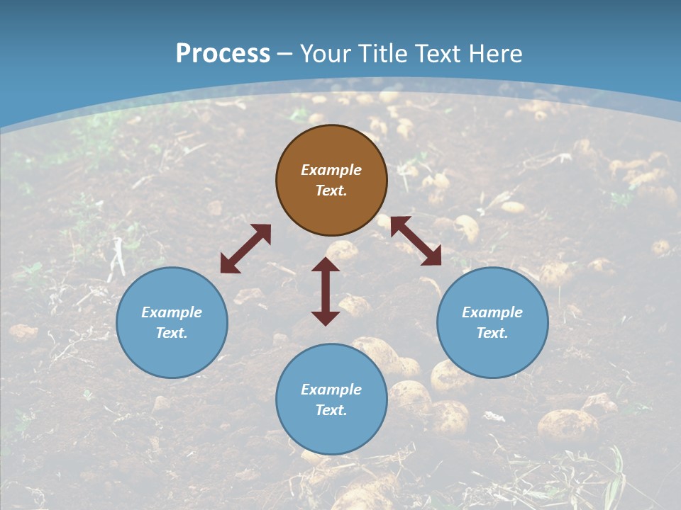 Dish Environmental Fallow PowerPoint Template