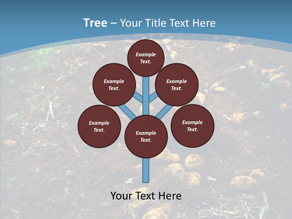 Dish Environmental Fallow PowerPoint Template