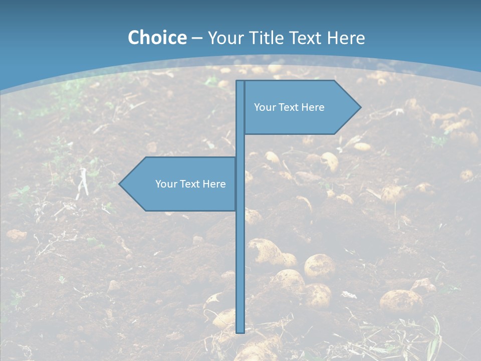 Dish Environmental Fallow PowerPoint Template