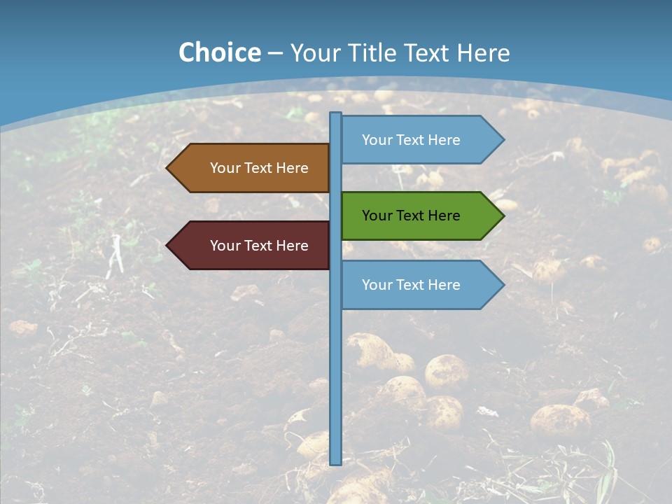 Dish Environmental Fallow PowerPoint Template