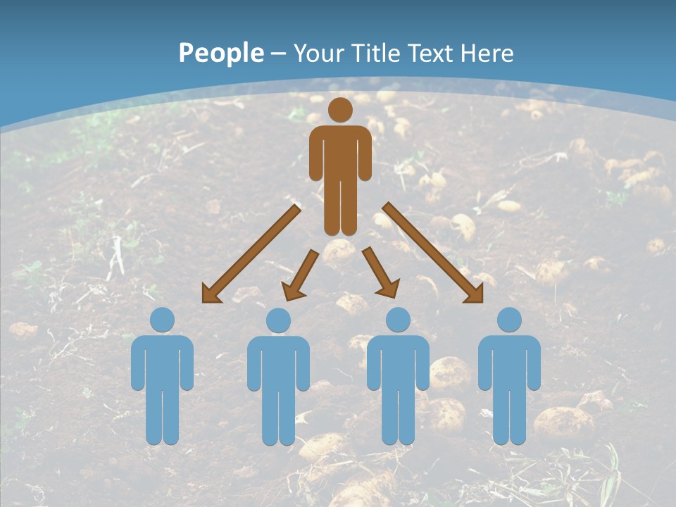 Dish Environmental Fallow PowerPoint Template