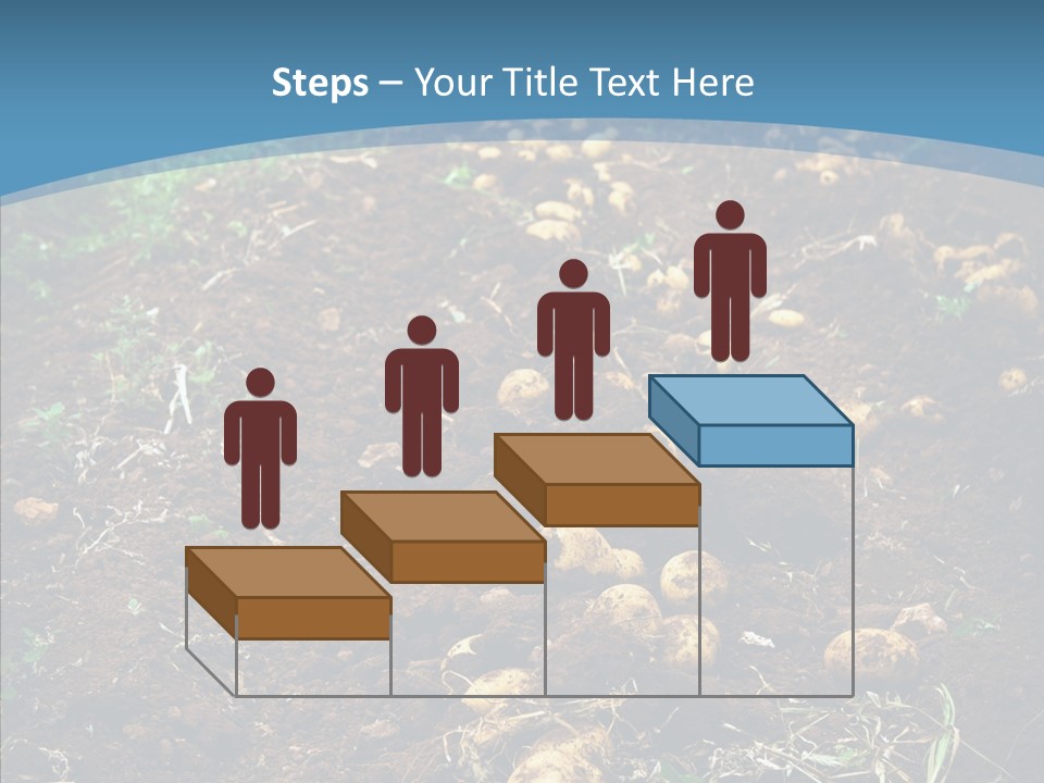 Dish Environmental Fallow PowerPoint Template