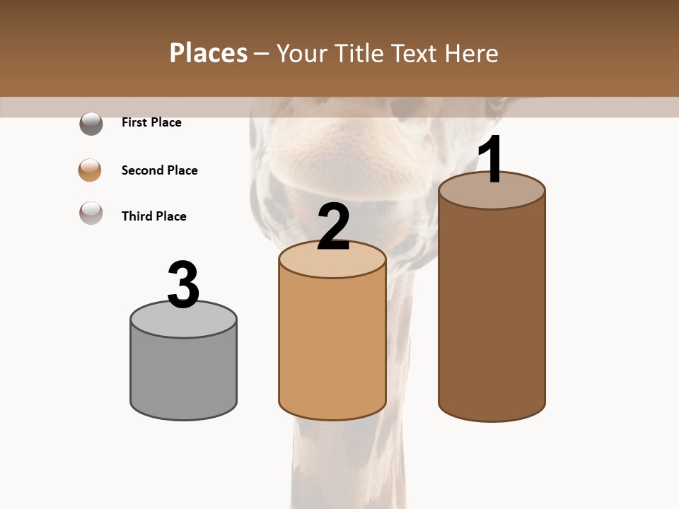 Fun High South PowerPoint Template