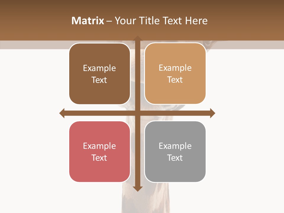 Fun High South PowerPoint Template