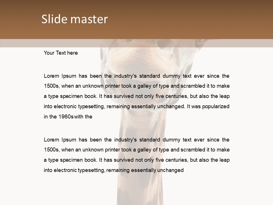 Fun High South PowerPoint Template