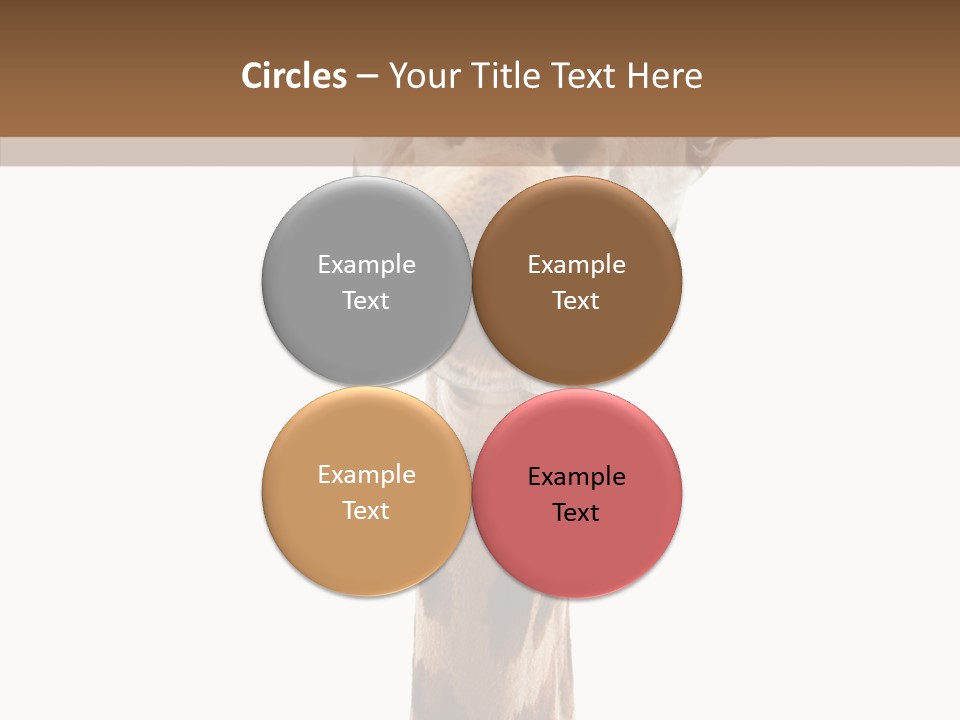 Fun High South PowerPoint Template