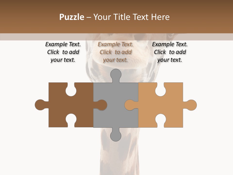 Fun High South PowerPoint Template